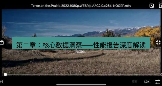 tg电脑版下载 第二章：核心数据洞察——性能报告深度解读