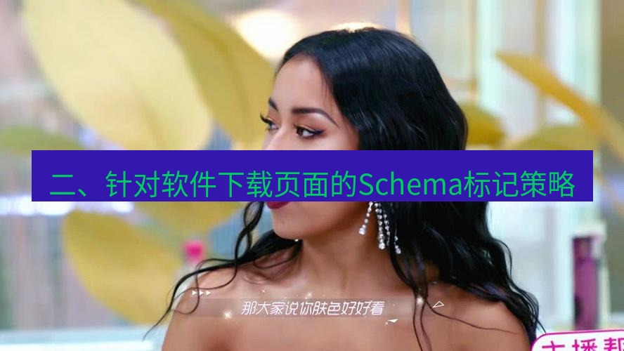 tg中文版下载 二、针对软件下载页面的Schema标记策略