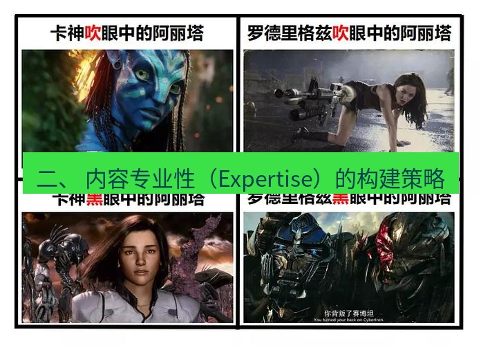 tg中文版下载 二、 内容专业性（Expertise）的构建策略