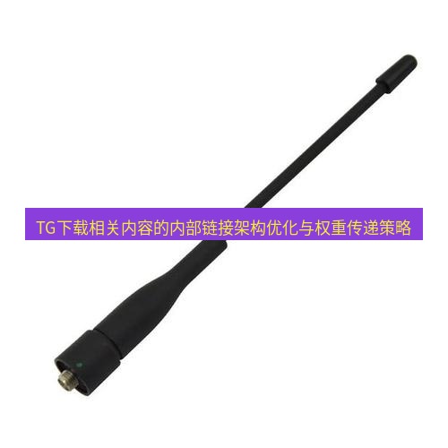 tg电脑版下载 TG下载相关内容的内部链接架构优化与权重传递策略