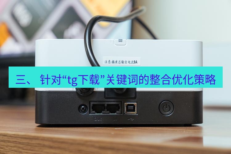 tg电脑版下载 三、 针对“tg下载”关键词的整合优化策略