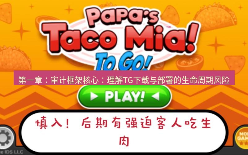 tg电脑版下载 第一章：审计框架核心：理解TG下载与部署的生命周期风险