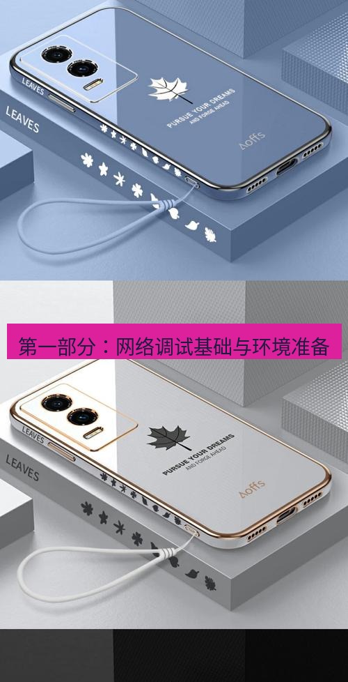 tg电脑版下载 第一部分：网络调试基础与环境准备