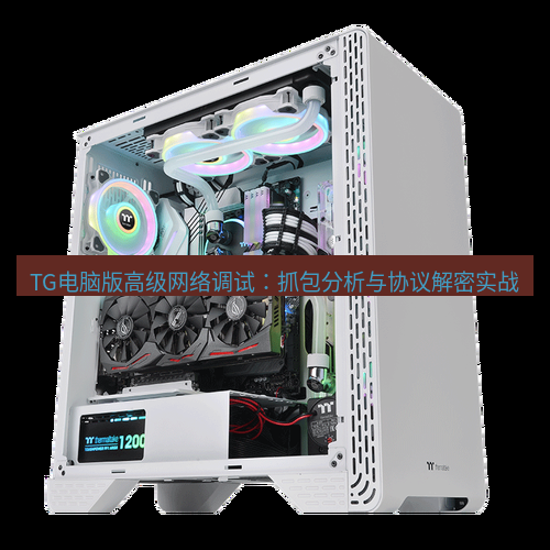 tg电脑版下载 TG电脑版高级网络调试：抓包分析与协议解密实战