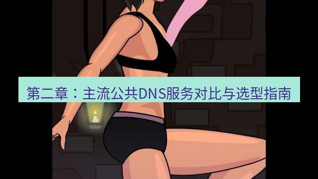 tg中文版下载 第二章：主流公共DNS服务对比与选型指南