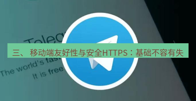 tg中文版下载 三、 移动端友好性与安全HTTPS：基础不容有失