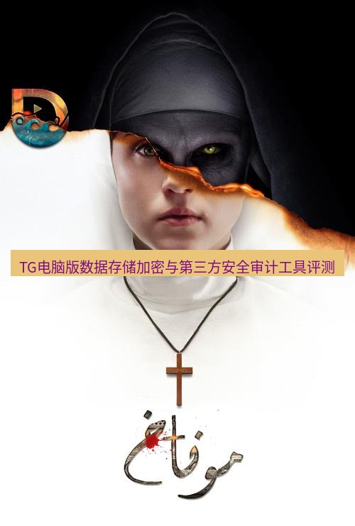 tg中文版下载 TG电脑版数据存储加密与第三方安全审计工具评测