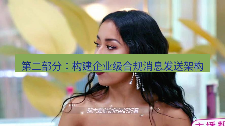 tg中文版下载 第二部分：构建企业级合规消息发送架构