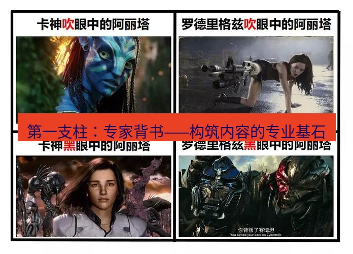 tg中文版下载 第一支柱：专家背书——构筑内容的专业基石