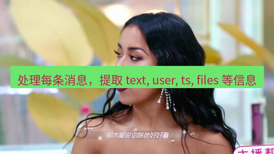 tg中文版下载 处理每条消息，提取 text, user, ts, files 等信息
