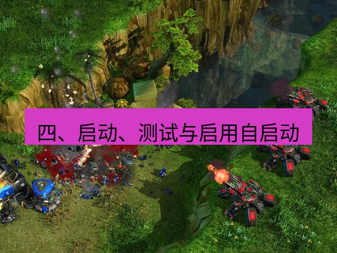 tg中文版下载 四、启动、测试与启用自启动