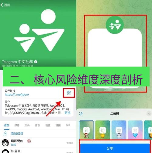 tg中文版下载 二、 核心风险维度深度剖析