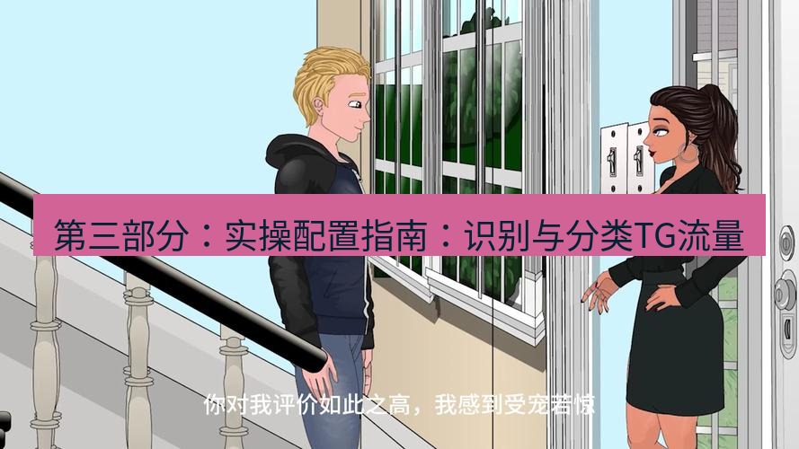 tg中文版下载 第三部分：实操配置指南：识别与分类TG流量