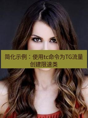 tg中文版下载 简化示例：使用tc命令为TG流量创建限速类