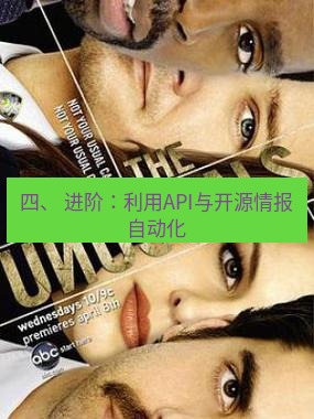 tg中文版下载 四、 进阶：利用API与开源情报自动化