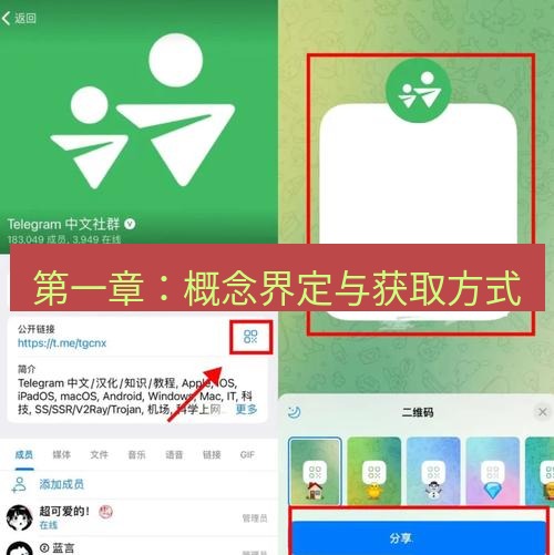 tg中文版下载 第一章：概念界定与获取方式
