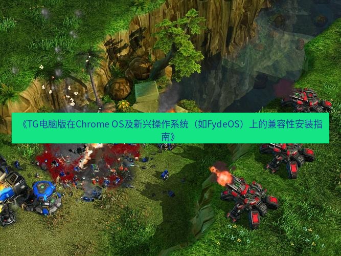 tg中文版下载 《TG电脑版在Chrome OS及新兴操作系统（如FydeOS）上的兼容性安装指南》
