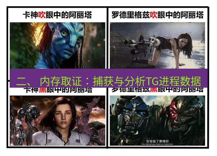 tg中文版下载 二、 内存取证：捕获与分析TG进程数据