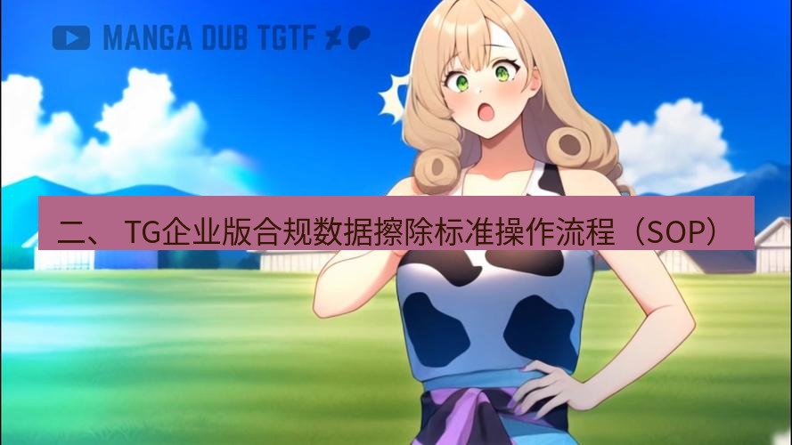 tg中文版下载 二、 TG企业版合规数据擦除标准操作流程（SOP）