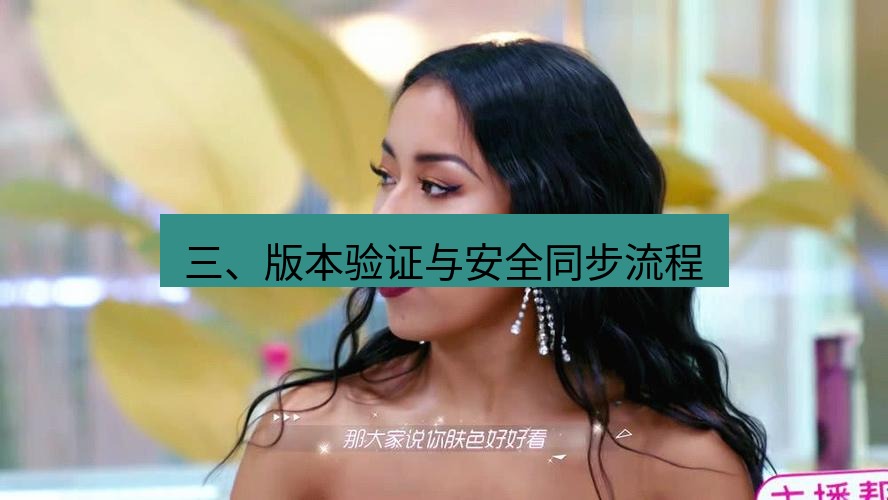 tg中文版下载 三、版本验证与安全同步流程