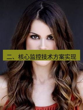 tg中文版下载 二、核心监控技术方案实现