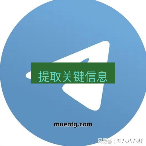 tg中文版下载 提取关键信息