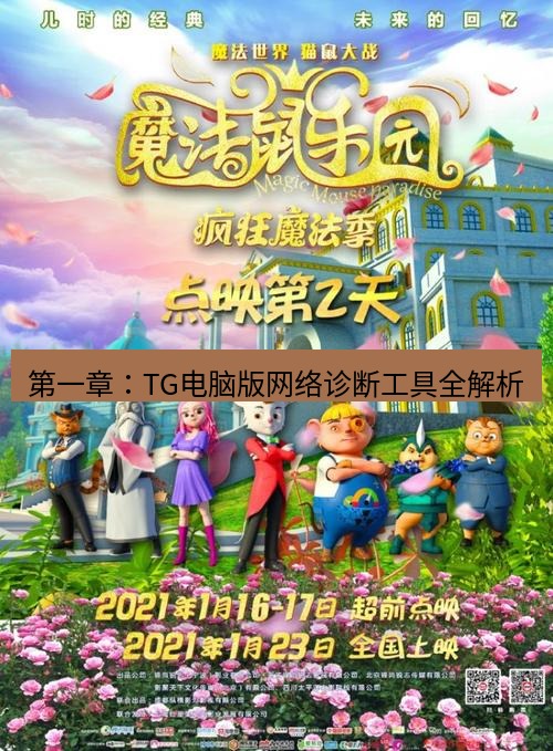 tg中文版下载 第一章：TG电脑版网络诊断工具全解析