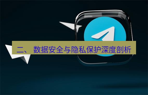 tg中文版下载 二、 数据安全与隐私保护深度剖析