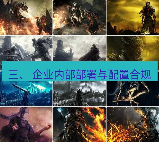 tg电脑版下载 三、 企业内部部署与配置合规