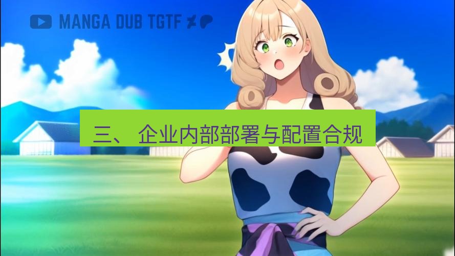 tg中文版下载 三、 企业内部部署与配置合规