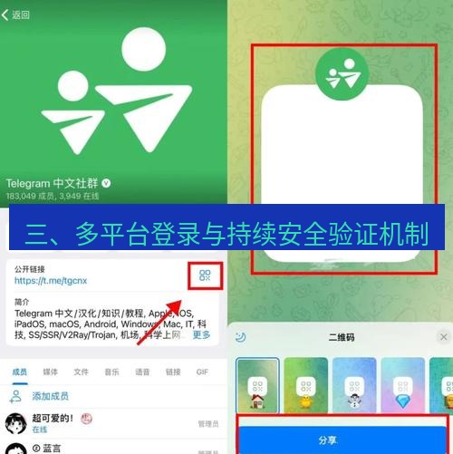 tg中文版下载 三、多平台登录与持续安全验证机制