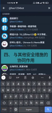 tg中文版下载 四、 与其他安全措施的协同作用