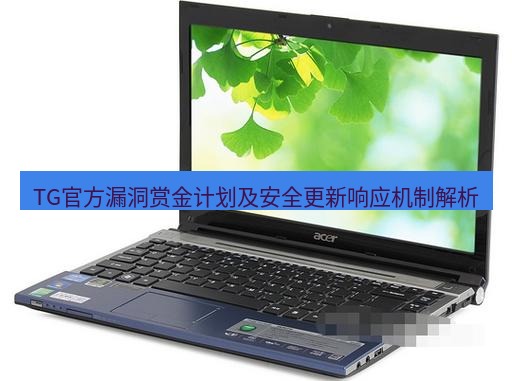 tg电脑版下载 TG官方漏洞赏金计划及安全更新响应机制解析