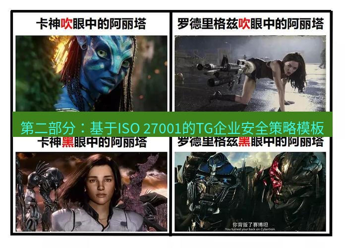 tg中文版下载 第二部分：基于ISO 27001的TG企业安全策略模板