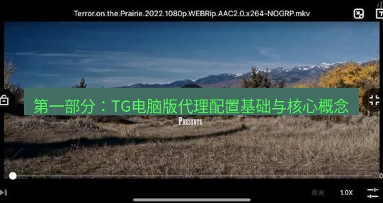 tg电脑版下载 第一部分：TG电脑版代理配置基础与核心概念