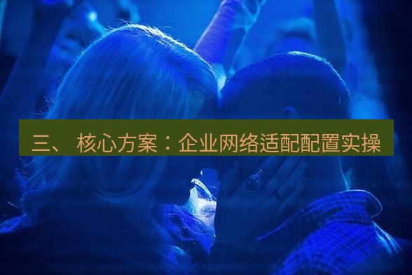 tg中文版下载 三、 核心方案：企业网络适配配置实操
