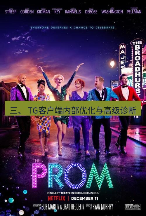 tg中文版下载 三、 TG客户端内部优化与高级诊断