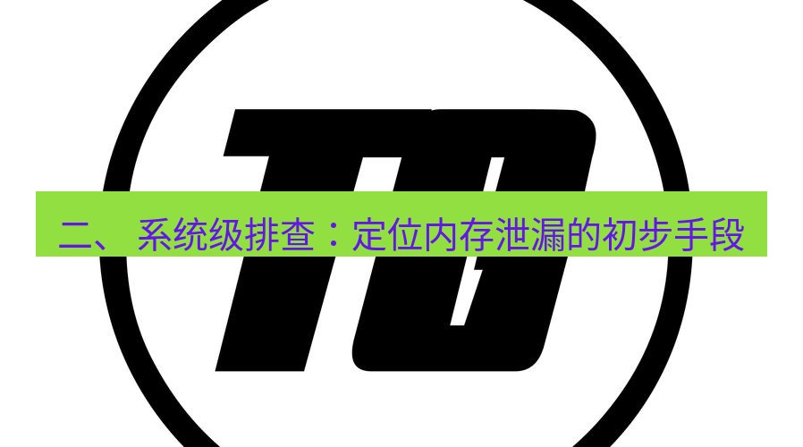 tg中文版下载 二、 系统级排查：定位内存泄漏的初步手段