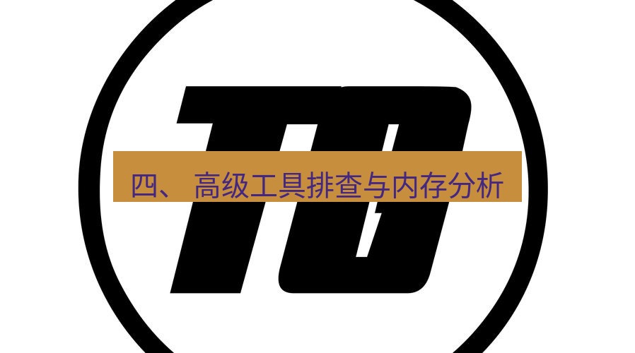 tg中文版下载 四、 高级工具排查与内存分析